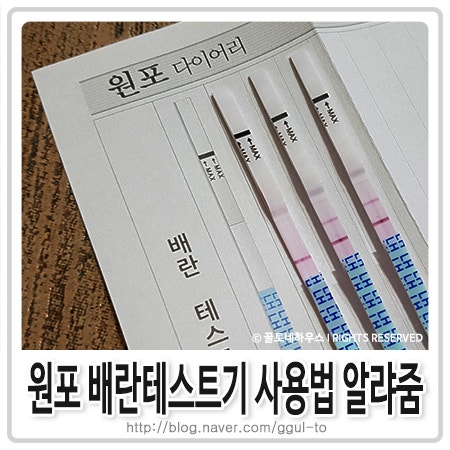 '원포 배란 테스터 & 이브 다이어리 앱'으로 임신 준비를 재개하세요 :) 3