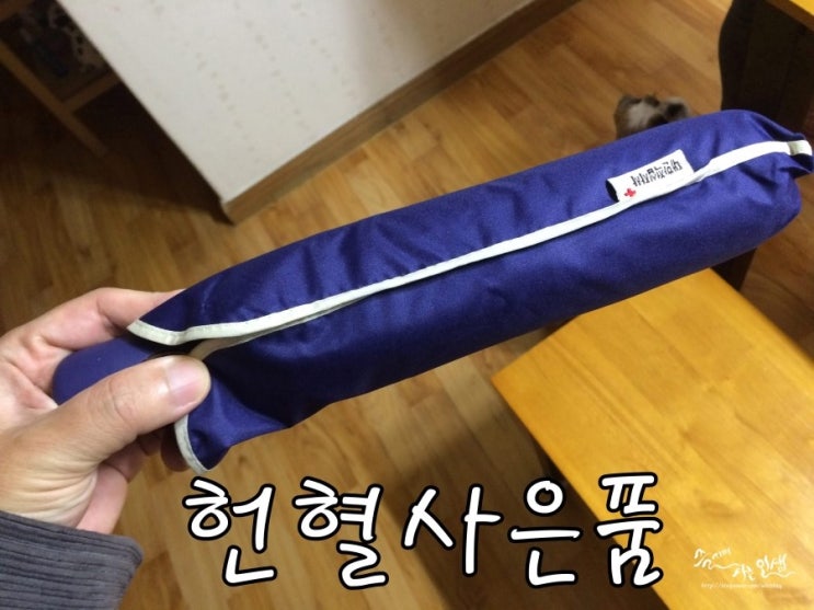  [헌혈 사은품] 건대 헌혈의집에서 헌혈하고 헌혈 사은품 우산 득템