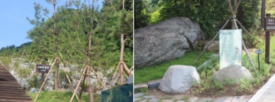 달라지는 장례문화, ‘화장’-> ‘자연장’으로 달라지는 장례문화, ‘화장’-> ‘자연장’으로