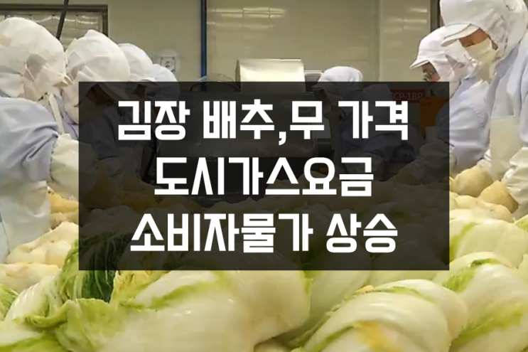 김장 배추, 무 가격과 맥주가격, 도시가스요금 등 소비자물가 상승