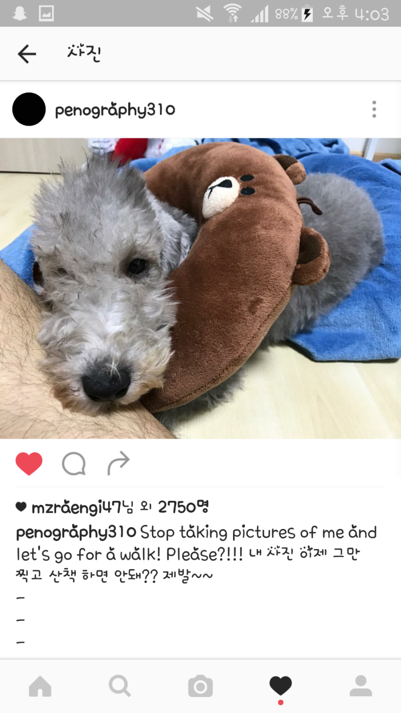 161101 비투비 프니엘 인스타그램