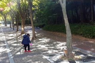  여름이 1200일 콩이 2600일 