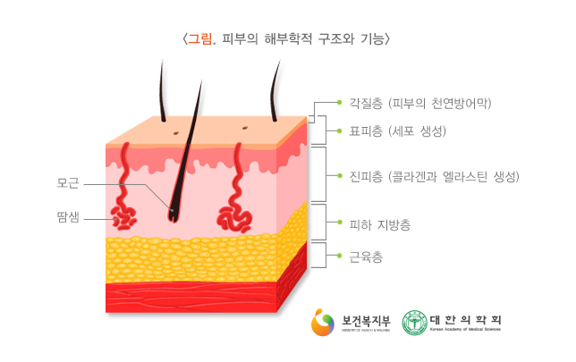 흉터 연결 권장 유아 상처 관리 비교 검토 9
