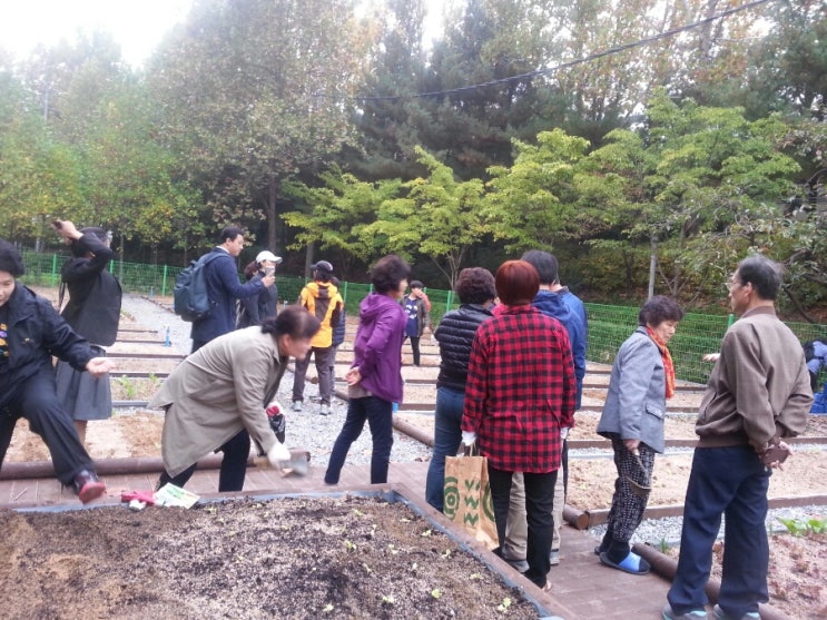 텃밭 수업 텃밭 수업