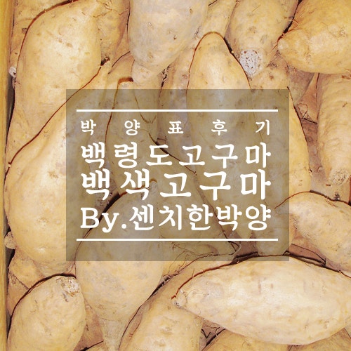 백령도 백색고구마를 아시나요?