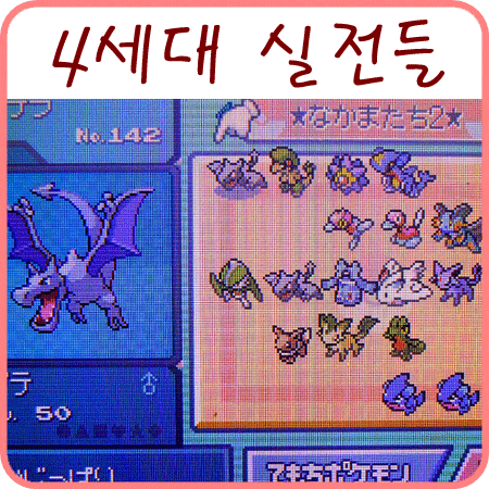  포켓몬스터 DP 배틀타워 - 4세대 실전 포켓몬