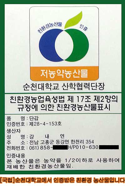  (마감) 도매 단감 판매, 단감 10kg (12kg담아드려요) 부유 고흥단감 벌교단감
