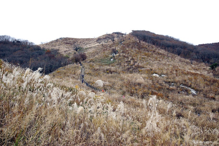 명성산 억새축제, 등산