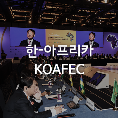 한-아프리카 포괄적 <b>경제협력</b> 관계 구축 - KOAFEC