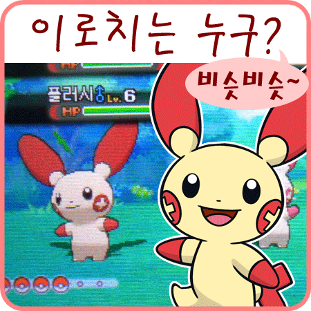  포켓몬스터 오메가루비 이로치 포켓몬 - 무리배틀, 도감내비