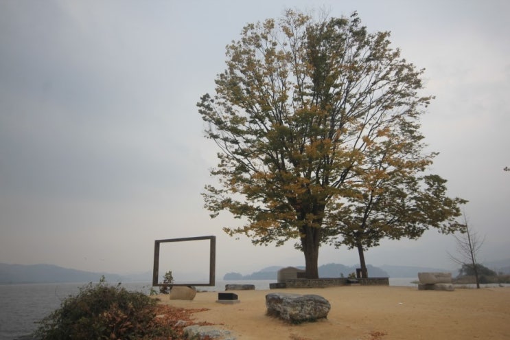 두 물줄기가 만나 하나의 강이 되는 한강 두물머리 풍경