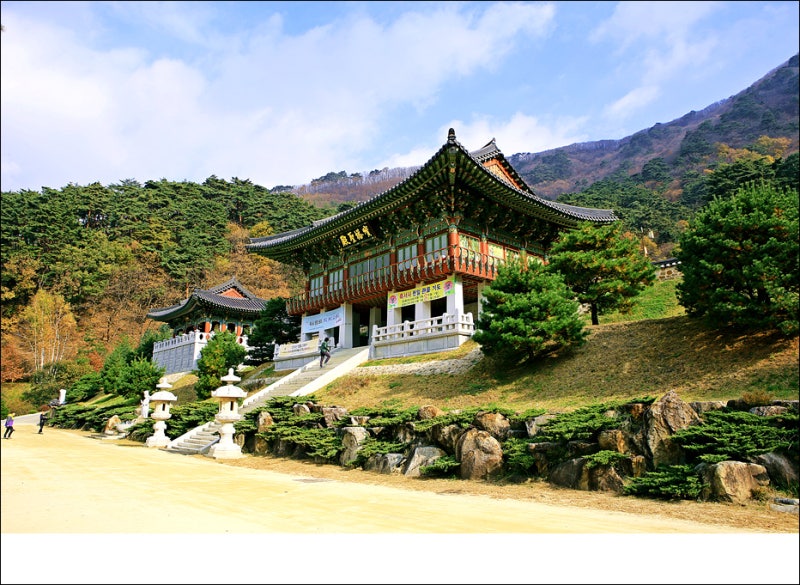 국내 가을여행 경북 봉화가볼만한곳 천년고찰 마음의 고향 축서사 ...