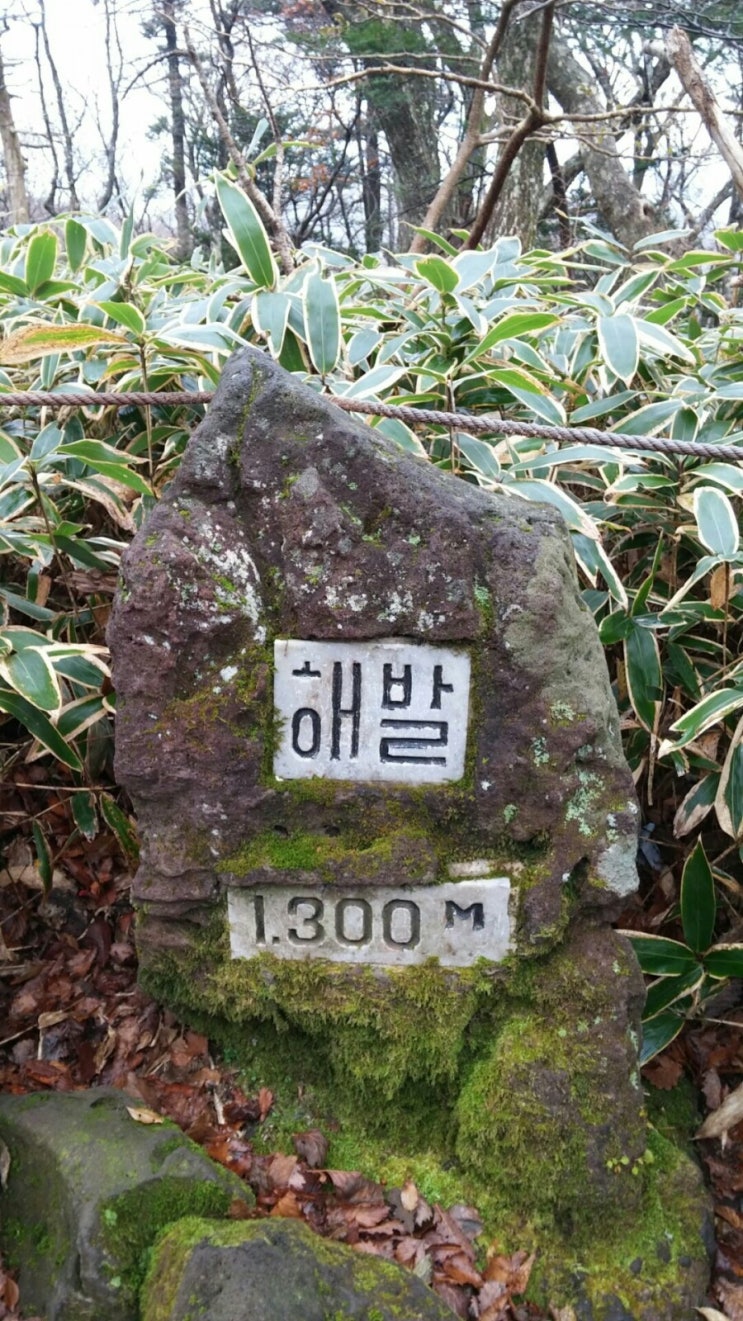 2016년 11월08일 한라산 백록담 2016년 11월08일 한라산 백록담