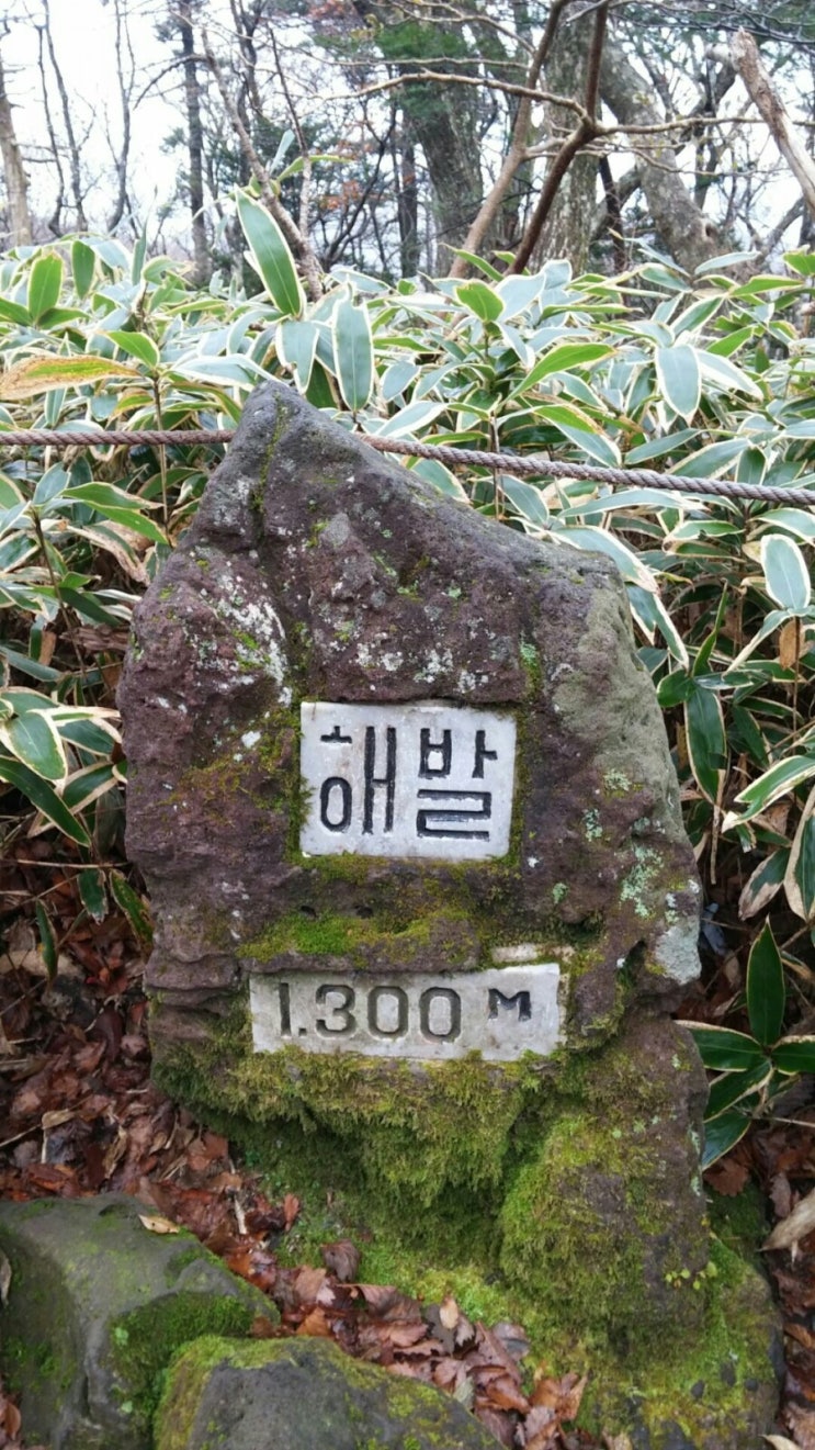 2016년 11월08일 한라산 백록담