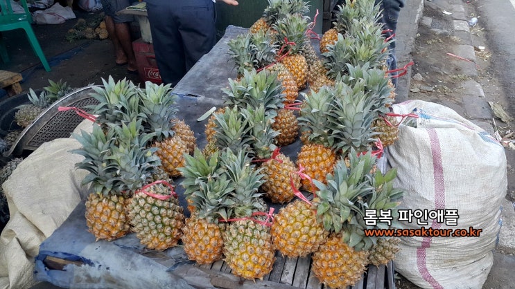  롬복 허니문 열대 과일 <파인애플,나나스>