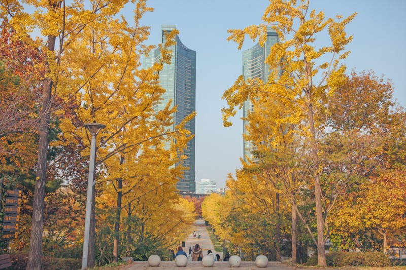 서울 가볼만한곳, 서울숲 공원 단풍 가을 나들이 : 네이버 블로그