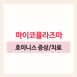 마이코플라스마호미니스와 불임 4