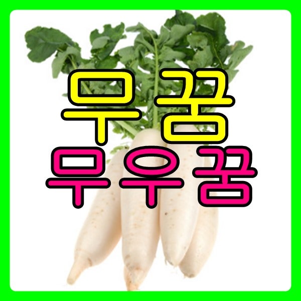 무우꿈 무꿈의 해몽스토리~~
