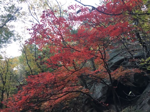  이크레더블 위더스풀 세미나