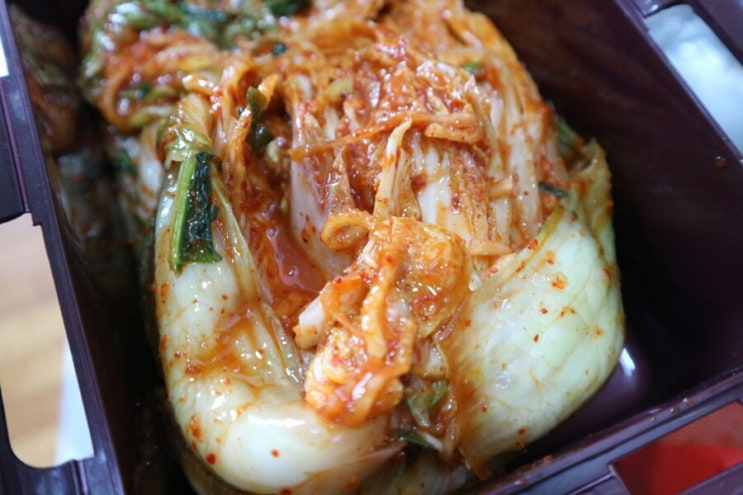  종가집김치-사먹는김치 맛있는김치 김치사먹기 홈쇼핑김치