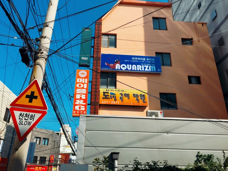  부산 아쿠아리즘 수족관방문
