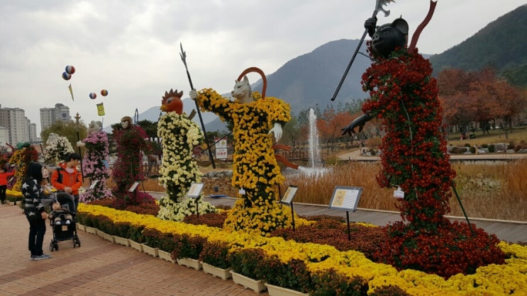  부산.양산청소업체//Mr.Song청소&줄눈//양산물금국화축제향연