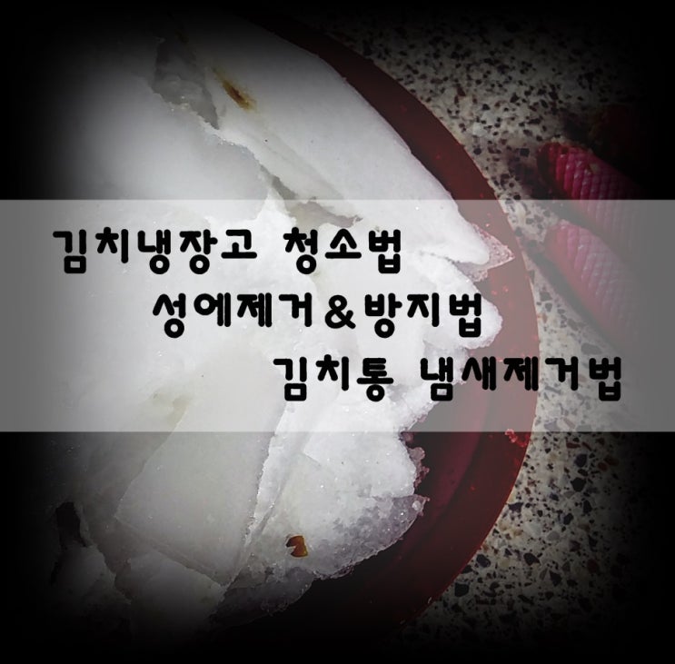  김치냉장고 청소하는 방법(성에제거방지)& 김치통 냄새 없애는 방법