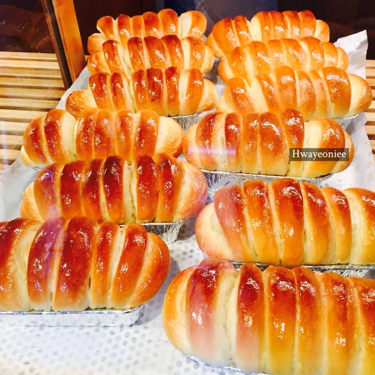  제주 빵집 - 버터 모닝