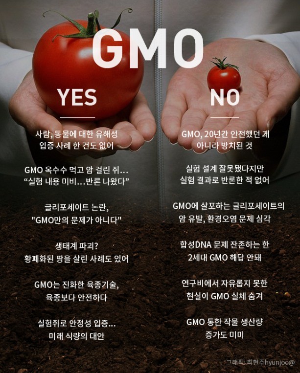 장단점 gmo 식품 GMO(유전자재조합식품) 식품