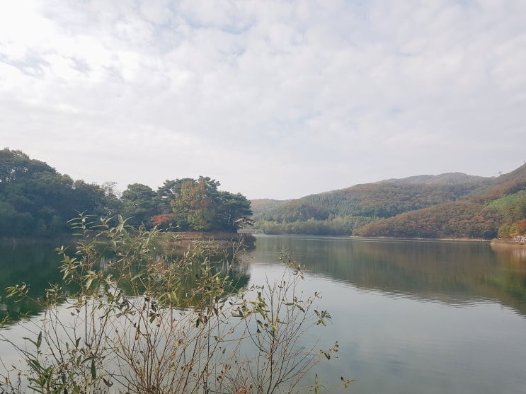  사법고시vs로스쿨(법학전문대학원), 차이는 무엇인가?(2)