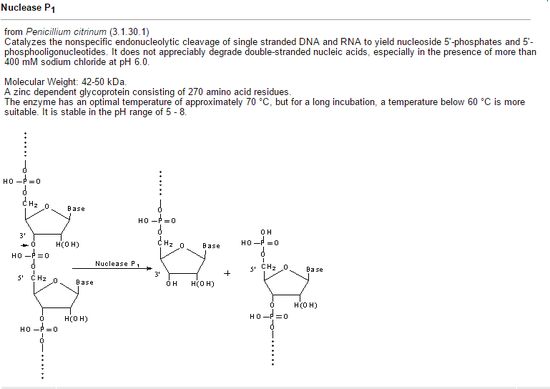  Nuclease P1
