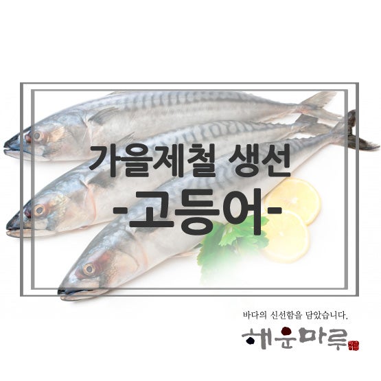 가을제철 고등어 효능과 고등어회 : 네이버 블로그 가을제철 고등어 효능과 고등어회 : 네이버 블로그