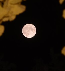  슈퍼문이 신기해요