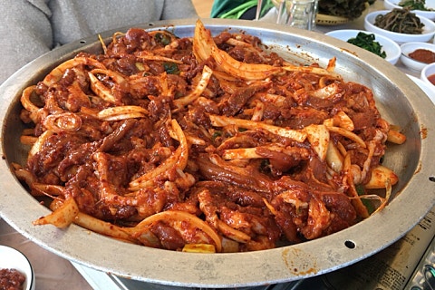 목련집 이미지