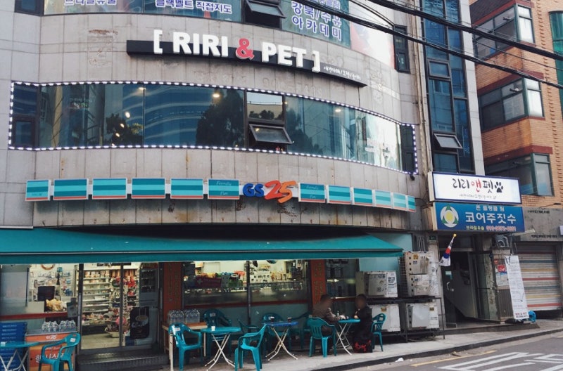 사진 5