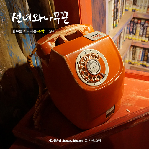  [제주도여행] 선녀와 나무꾼 | 추억이 머무는 곳