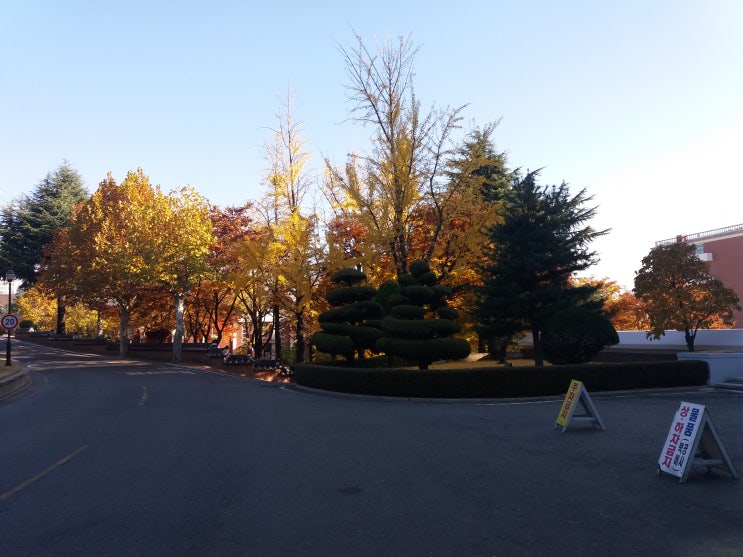  계명대학교 대명동 캠퍼스에도 가을이 왔네요.