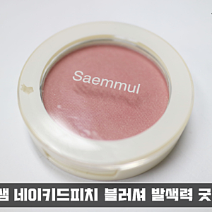 더샘 네이키드피치 블러셔 발색력 굿굿!