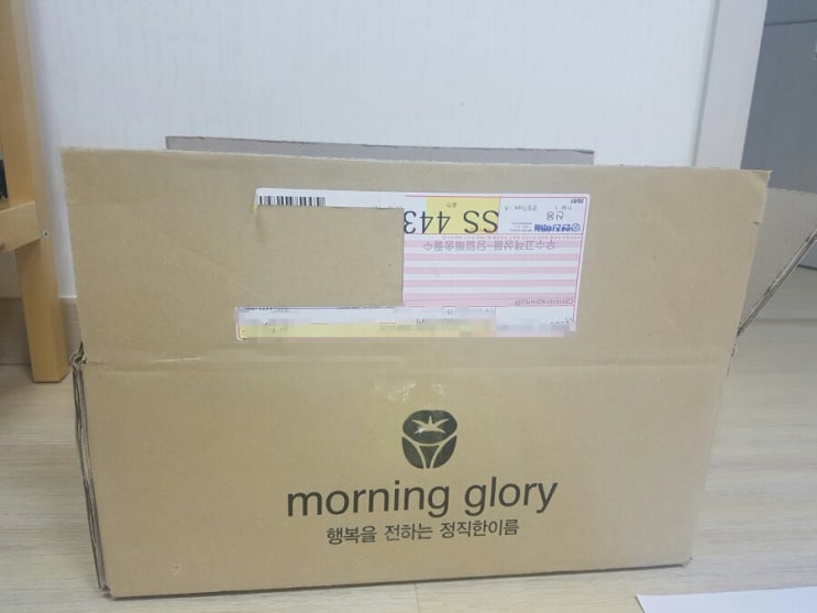  모닝글로리  청첩장 후기