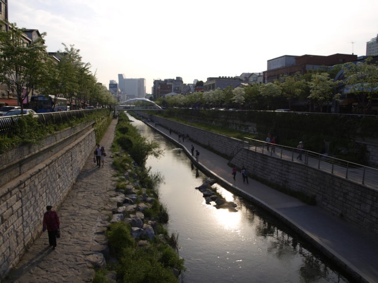 청계천(2009-06-06)