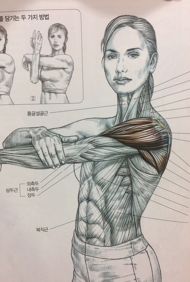 아일랜드짐 이미지