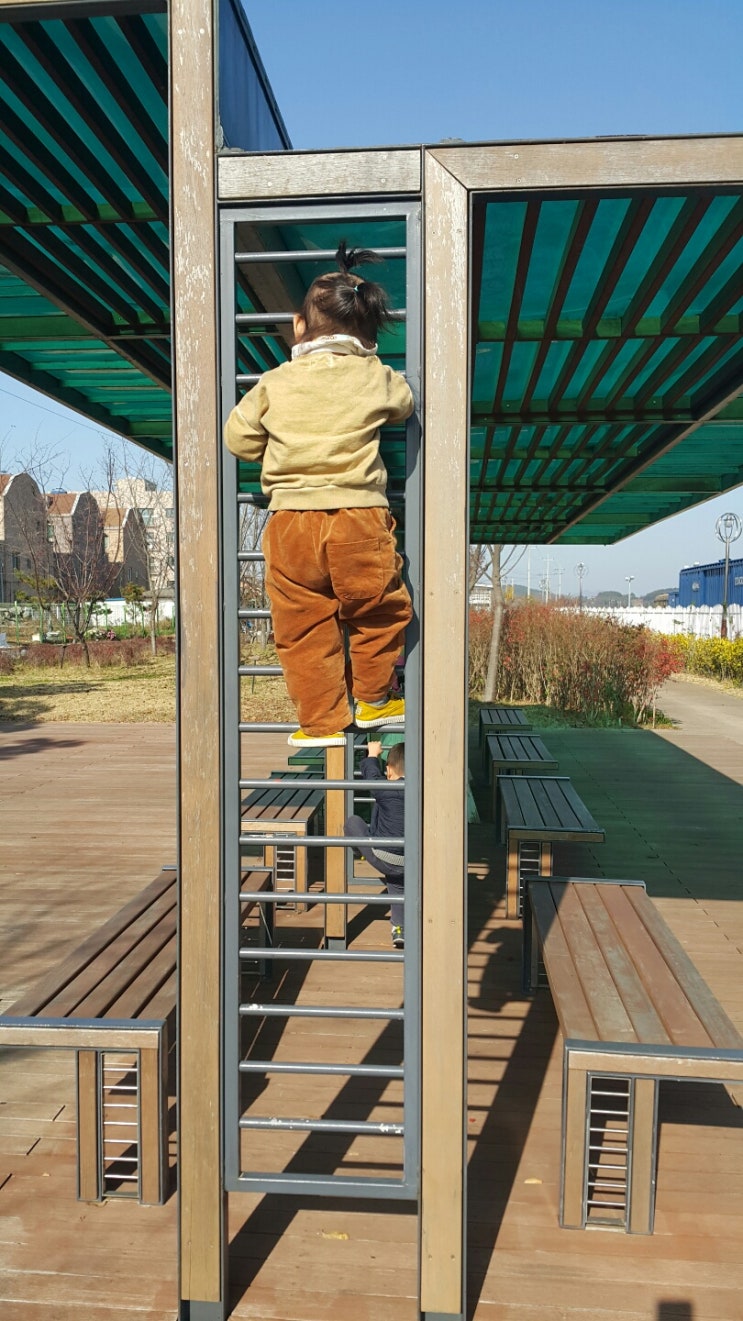  오르기 선수