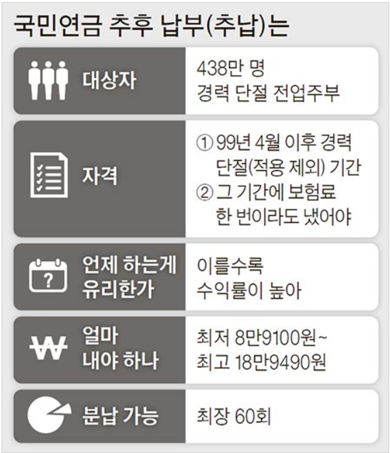 5년치 보험료 540만원 추후납부 땐 경력단절 주부, 월 20만원 국민연금 5년치 보험료 540만원 추후납부 땐 경력단절 주부, 월 20만원 국민연금