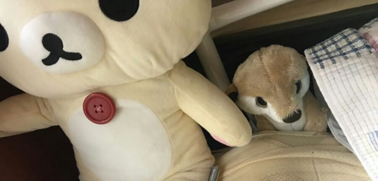  [일기] 잠자려는데 한기가 느껴진다..
