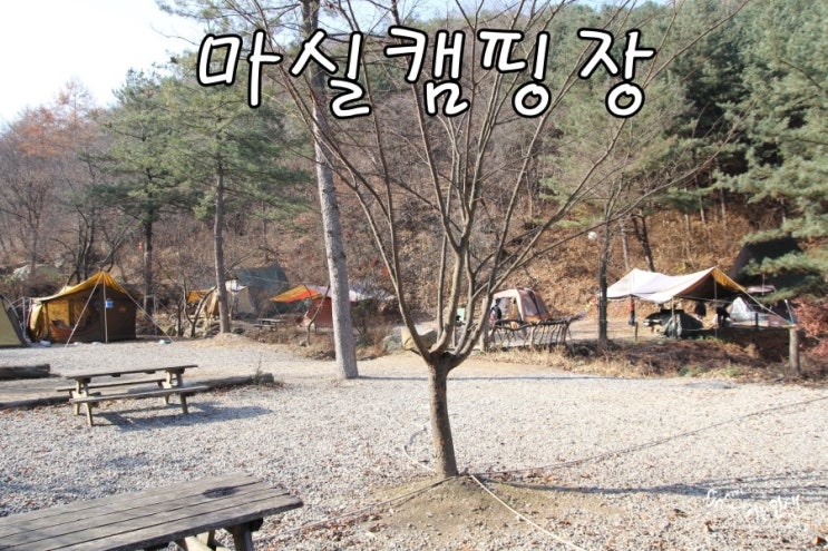  [남양주 캠핑장] 서울에서 가까운 애견동반캠핑장 마실빌리지