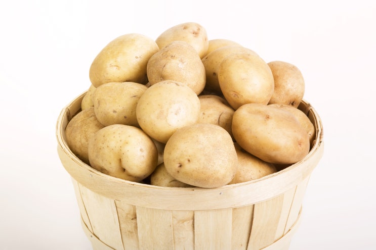 겨울철 하면 생각나는 감자! 효능을 알고 드세요.