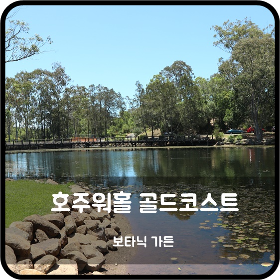  서른에 호주워홀 D+159 호주골드코스트 보타닉가든