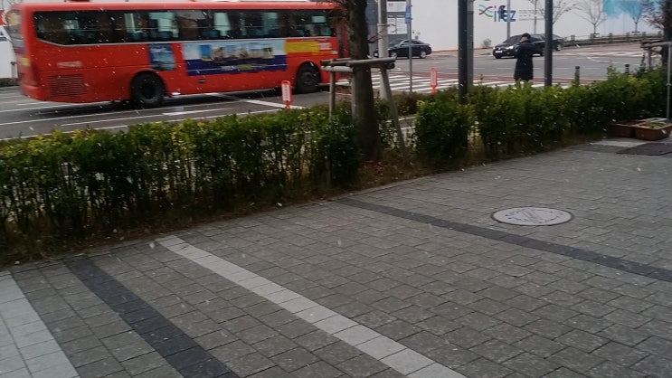  드디어 첫눈이 왔네요~
