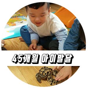 45개월 아이발달 4살아이 육아일기