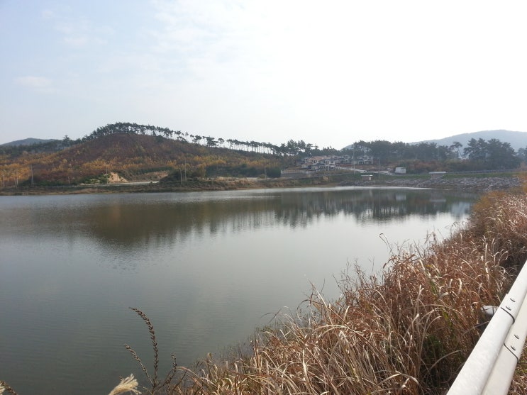  서산의 예쁜 전원주택 단지들 가사리,강당리,성리,등 서산시에 많이 전입하셔요..건강100세 보장